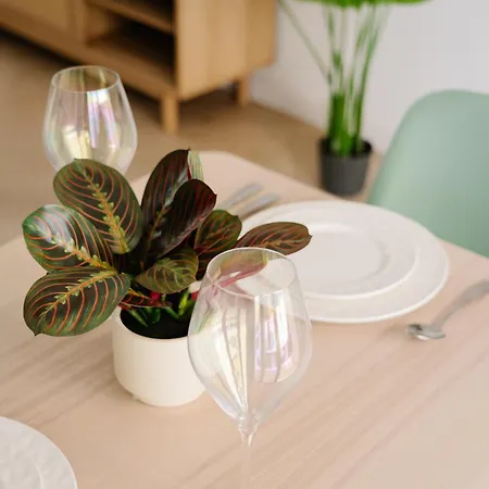 Apartment Luxury Bisazza By Beyond Air